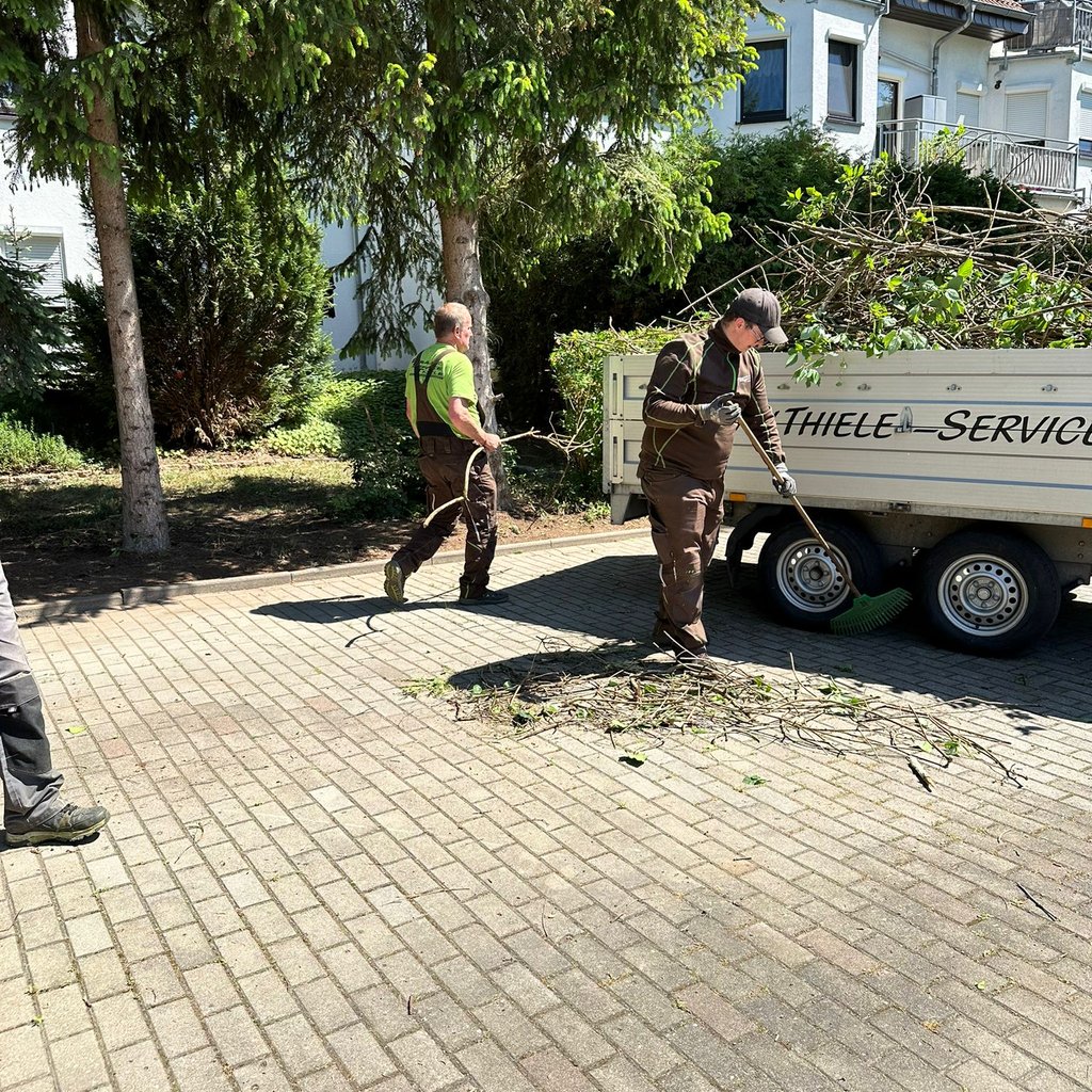 service gruenpflege